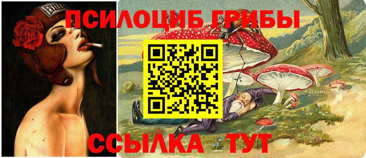 Волгоград  Галлюциногенные грибы мицелий  Вход с VPN 